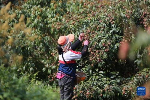 24小时吃瓜黑料免费